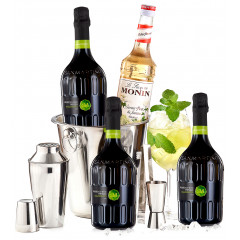 Pachet Hugo Cocktail Party Kit