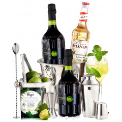 Pachet Hugo Cocktail Party Kit