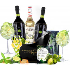 Pachet Magic Hugo Cocktail Kit