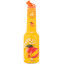 Scrie review pentru Mixer Mango 100% Concentrat Piure Fructe 1L